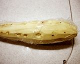 メープル風味♪サツマイモパウンドケーキ作り方2写真