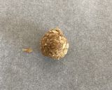 オートミールの糖質制限クッキー作り方4写真