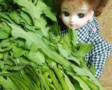 リカちゃん♡春菊のゆず風味酢味噌がけꕤ⠜作り方1写真