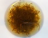 簡単さっぱりモズクぶっかけ素麺作り方3写真