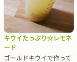 キウイたっぷり☆レモネード作り方16写真