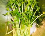 豆苗ナムル・副菜や、彩に最適♬作り方1写真