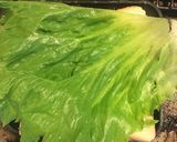 ホットサンド作り方6写真