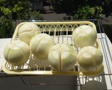 玉葱醤油漬作り方3写真