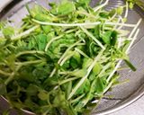 簡単節約☆豆苗と卵のコンソメ炒め作り方2写真