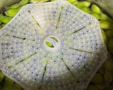 【基本】枝豆の茹で方作り方5写真