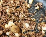 挽肉の肉味噌ゴーヤーチャンプルー作り方1写真