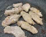 豚肉のきのこソース作り方1写真
