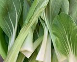 青梗菜海苔和え作り方1写真