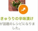 きゅうりの辛味漬け作り方12写真