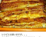 驚愕No.9 鰻の温め方!作り方27写真