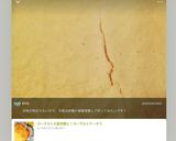 ヨーグルト大量消費に！ヨーグルトケーキ♡作り方13写真