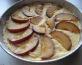 夏の終わりのスモモ(太陽)のケーキ作り方4写真