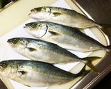 夏の干物 男の素人さばき作り方1写真