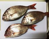 夏の干物 男の素人さばき作り方2写真