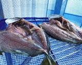夏の干物 男の素人さばき作り方8写真