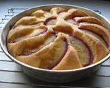 夏の終わりのスモモ(太陽)のケーキ作り方5写真