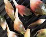 美味しい焼き茗荷♪お好みのお味噌をつけて作り方2写真