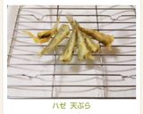ハゼ 天ぷら作り方5写真