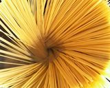 夏バテに☆熟成黒ニンニクのしそツナパスタ作り方1写真