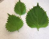 大葉の保存方法と大葉漬け作り方3写真
