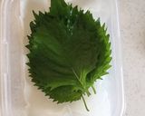 大葉の保存方法と大葉漬け作り方5写真