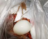 お弁当★ラー油の酢醤油煮卵★作り置き作り方1写真