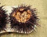 ウニの炙り刺し作り方4写真