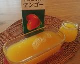 天草2回目。フルフル牛乳寒天作り方6写真