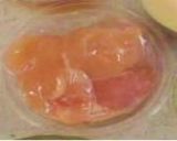 まろやか豆乳麺作り方1写真