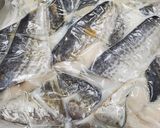 歯茎で押し潰せる白身魚のフライ（施設向）作り方1写真