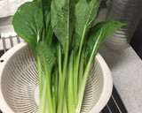 常備菜 保存 小松菜の正しい茹で方作り方1写真