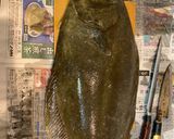 白身魚のムニエル〜ケイジャンとヨーグルト作り方5写真