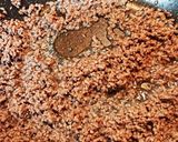 我が家のなすのミートソーススパゲッティ作り方2写真