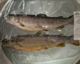 【基本】イワナの塩焼き作り方2写真