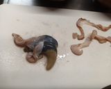 ホタテ！アワビ！サザエ！貝ひも醤油マヨ作り方3写真