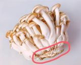 時短おかず☆韓国のりとしめじ合え♪簡単※作り方1写真