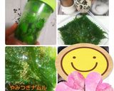 旨塩やみつきナムル(大葉version)作り方1写真