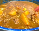 Japanese Curry Rice作り方22写真