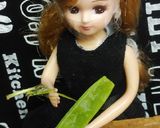 リカちゃん♡冬瓜と鶏肉 絹さやの煮物作り方10写真