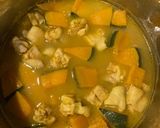 かぼちゃと鶏肉の中華煮カレー味♪作り方5写真