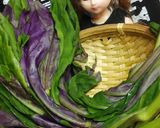リカちゃん♡金時草ごま和え(ナッツ入り)作り方1写真