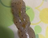 こんにゃくのピリ辛煮作り方5写真