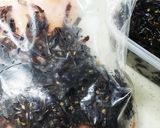 お年寄り絶賛シリーズ☆サーモン昆布佃煮☆作り方5写真