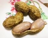 炊飯器で炊く生落花生作り方6写真