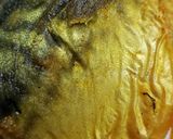 夏の定番♪サバカレー作り方3写真