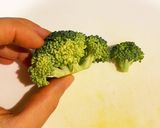 離乳食後期☆ツナとかぼちゃのパンキッシュ作り方9写真