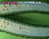 苦くないゴーヤツナサラダ作り方1写真