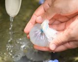 失敗しない、簡単にできる「葛まんじゅう」作り方10写真