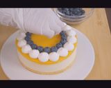 レモンのレアチーズケーキ※動画あり作り方32写真